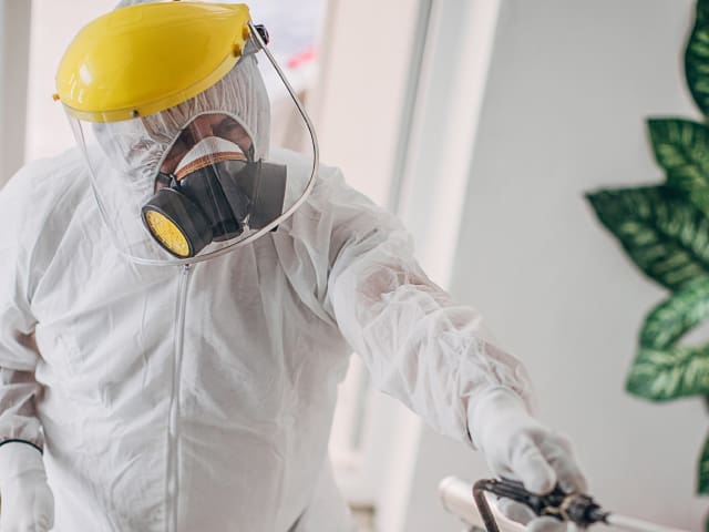 Pre-emptive Surface Disinfection